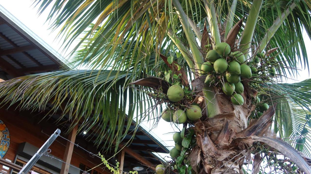 The Bocas Corner Hotell Bocas del Toro Exteriör bild